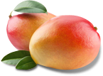 maya mango packshot.png