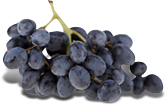 black Grapes packshot.png