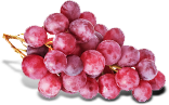 red grape.png