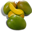 kitt mango.png