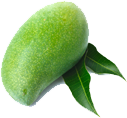 kent mango.png