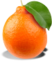 Mandarin nipple packshot.png