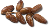 nor palm.png
