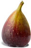 fig packshot.png