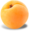 Apricot packshot.png