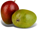 tomy mango packshot
