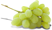 Grapes Thompson packshot.png